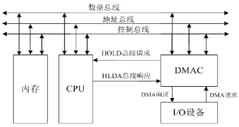 D6 DMAݔwY